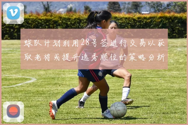 球队计划利用28号签进行交易以获取老将或提升选秀顺位的策略分析