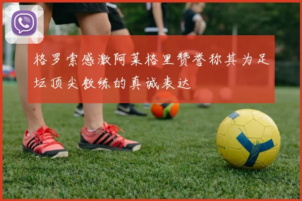 格罗索感激阿莱格里赞誉称其为足坛顶尖教练的真诚表达
