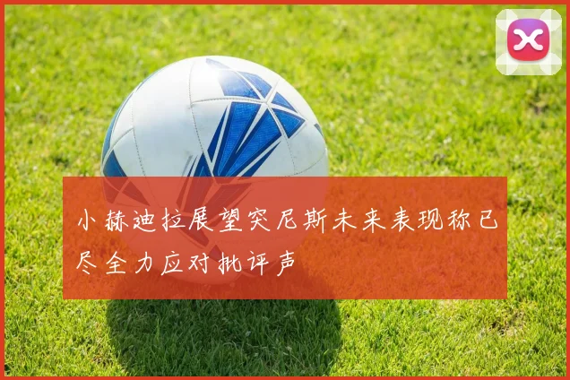 小赫迪拉展望突尼斯未来表现称已尽全力应对批评声